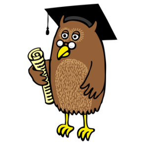 Denver college counseling, Denver college consulting, Denver college counselor, Denver college consultant