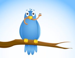 Denver college consultant, Denver college counselor, Denver college counseling, Denver college consulting